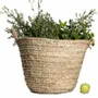 Decorative objects - Handwoven Moroccan baskets – Available in multiple sizes - COSYDAR-DECO