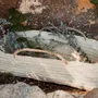 Decorative objects - Baskets and trays in natural fiber – Handmade boho décor - COSYDAR-DECO