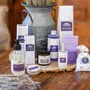 Gifts - Lavender Reed Diffuser - LE CHATELARD 1802