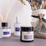 Gifts - Perfumed candle Lavender - LE CHATELARD 1802