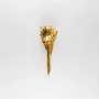 Design objects - ARCHOKE - MOSCHE BIANCHE