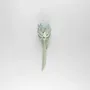 Design objects - ARCHOKE - MOSCHE BIANCHE