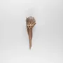 Design objects - ARCHOKE - MOSCHE BIANCHE