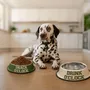 Kitchen utensils - PACK OF 2 PET FOOD / WATER BOWL - FISURA
