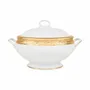 Formal plates - Auratus - PORCEL