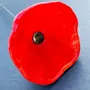 Floral decoration - Medium size red cala flower - CARNEOL GLASS