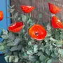 Floral decoration - Medium size red cala flower - CARNEOL GLASS
