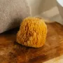 Cosmétiques - Eponge de mer - NOUS LE SAVONS
