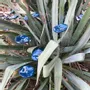 Floral decoration - Small turquoise glass flower on a stainless steel stem - CARNEOL GLASS