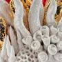 Design objects - MUSA MARINA CORAL - MOSCHE BIANCHE