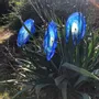 Décorations florales - Fleur en verre tourbillonnante bleu-blanc foncé (18 cm, tige de 50 cm) - CARNEOL GLASS