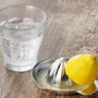 Kitchen utensils - Lemon squeezer, stainless steel cookware/YOSHIKAWA - YOSHIKAWA