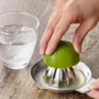 Kitchen utensils - Lemon squeezer, stainless steel cookware/YOSHIKAWA - YOSHIKAWA