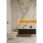 WC - MARBRE ÉMOTION-1　TOTO edition - ARTOLETTA NEW COLLECTION