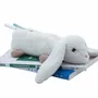Kids accessories - Rabbit Pencilcase - CUTE SINCE 1999