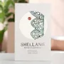 Cadeaux - [SHELLANG] Autocollant en nacre (Ilwol Obongdo) - KCDF