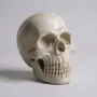 Autres fournitures bureau - Memento Mori - 3 GRACE BOUGIE