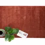 Tapis contemporains - Lilly - ROYAL CARPET