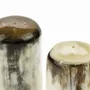 Moulins à épices - Mini set de salière et poivrier corne blonde africaine - L INDOCHINEUR X RIVÊT