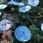 Floral decoration - Small Glass Flower For Outside In tr.-turquoise- white - CARNEOL GLASS