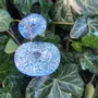 Floral decoration - Small Glass Flower For Outside In tr.-turquoise- white - CARNEOL GLASS