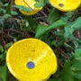 Floral decoration - Glass Calla Flower "Outdoor" in Yellow-Black Color - CARNEOL GLASS
