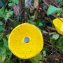 Floral decoration - Glass Calla Flower "Outdoor" in Yellow-Black Color - CARNEOL GLASS