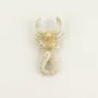 Brooches - Scorpion brooch in blond horn - L INDOCHINEUR X RIVÊT
