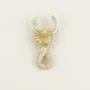 Brooches - Scorpion brooch in blond horn - L INDOCHINEUR X RIVÊT