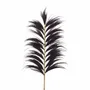 Objets de décoration - RAYUNG - Feuille naturelle noire - Décoration XXL - HYDILE