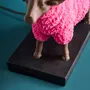 Lampes de table - Lampe de table avec moutons Colorful Sheep - WERNS
