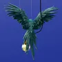 Suspensions - Plafonnier Perroquet Percy - WERNS