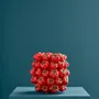 Vases - Vase Tomates S - WERNS