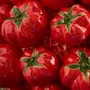 Vases - Vase Tomates S - WERNS