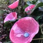 Floral decoration - Glass Calabel Flower "Outdoor" in Pink-Black Color - CARNEOL GLASS
