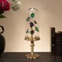 Decorative objects - Our insect collection - OBJET DE CURIOSITÉ