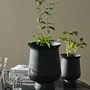 Vases - Jardinière ADONY, S - noire - NORDAL
