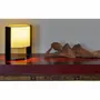 Lampes de table - ACAPULCO Lacquer lamp - MAI HOME DECOR PTE LIMITED