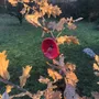 Floral decoration - Medium -sized glass calabel flower for outdoor in red-black colour with 43 cm stainless steel stem. - CARNEOL GLASS