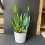 Floral decoration - Large dark green glass leaf with white gestures - CARNEOL GLASS