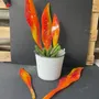 Floral decoration - Large red-orange glass leaf with white gestures - CARNEOL GLASS
