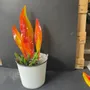 Floral decoration - Large red-orange glass leaf with white gestures - CARNEOL GLASS