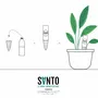 Vases - SANTO – le cône d’arrosage émaillé - COMMON PLACE YOUR URBAN JUNGLE