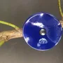 Floral decoration - Small Glass Flower For Outside In D.Blue On Flexible Stem - CARNEOL GLASS