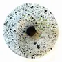 Floral decoration - Round small glass flower for outdoor use in transparent, green, black colour with 43 cm stainless steel stem - CARNEOL GLASS
