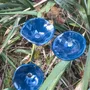 Floral decoration - Medium -sized glass calabel flower for outdoor in turquoise colour with 43 cm stainless steel stem. - CARNEOL GLASS