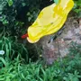 Floral decoration - Extra large glass flower for outdoors in yellow - CARNEOL GLASS