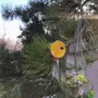 Floral decoration - Medium -sized glass calabel flower for outdoor in transparent, orange, yellow colour with 43 cm stainless steel stem. - CARNEOL GLASS