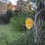 Floral decoration - Medium -sized glass calabel flower for outdoor in transparent, orange, yellow colour with 43 cm stainless steel stem. - CARNEOL GLASS
