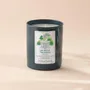 Candles - Ombres Portees Parfumeur scented candle Le Petit Trianon - OMBRES PORTÉES PARFUMEUR